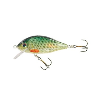 Wobler Jaxon Holo Select Karaś F 5.5cm/6g A