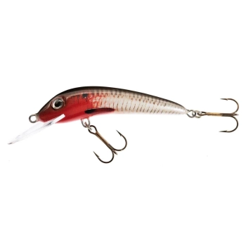 Wobler Jaxon Ferox F 8cm/10g RB