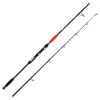 Wędka Jaxon Catfish E Spin & Troll 2.10m -160g