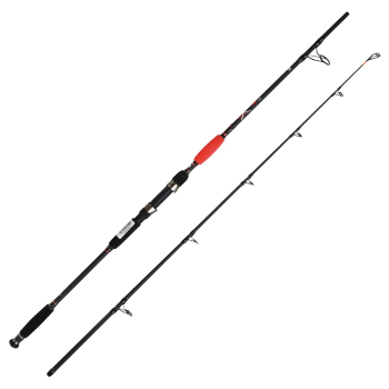 Wędka Jaxon Catfish E Spin & Troll 2.10m -160g