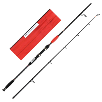 Wędka Jaxon Catfish E Spin & Troll 2.10m -160g-106206