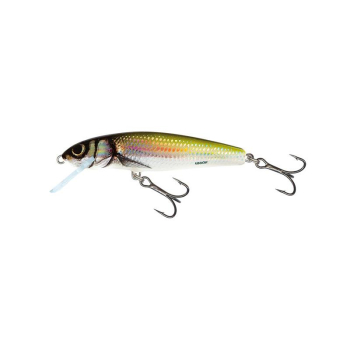 Wobler Salmo Minnow M6SHBL 6cm/6g