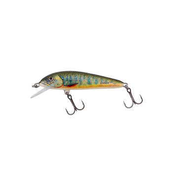 Wobler Salmo Minnow M6SLC 6cm/6g