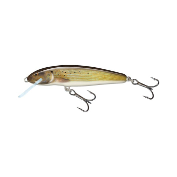 Wobler Salmo Minnow M7FGR 7cm/6g