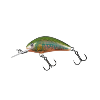 Wobler Salmo Hornet 5SHO 5cm/8g