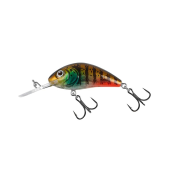 Wobler Salmo Rattlin Hornet RH4F HGC 4.5cm/6g