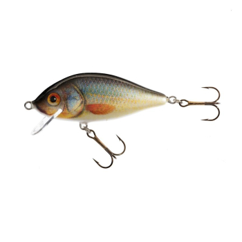 Wobler Jaxon Holo Select Karaś F 7.5cm/13g UK