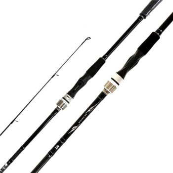Wędka Daiwa Exceler Spin 2.70m 10-40g-112400