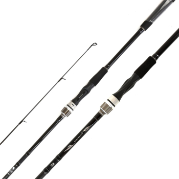Wędka Daiwa Exceler Spin 2.70m 20-60g-112403