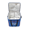 Torba Daiwa N'Zon Cool Bag 38x30x45cm-122638