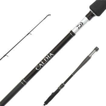 Wędka Daiwa Caldia Sensor Jig 2.70m 14-42g-123165