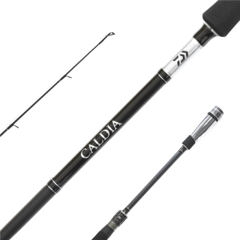 Wędka Daiwa Caldia Spin 2.10m 7-21g-123171