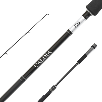 Wędka Daiwa Caldia Spin 2.40m 15-50g-123174