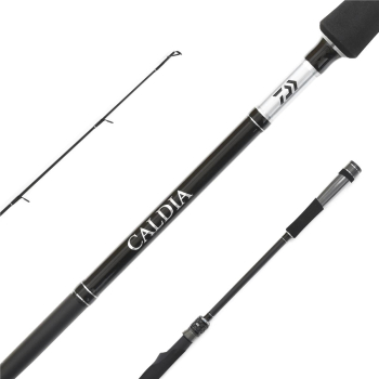 Wędka Daiwa Caldia Spin 2.70m 15-50g-123180