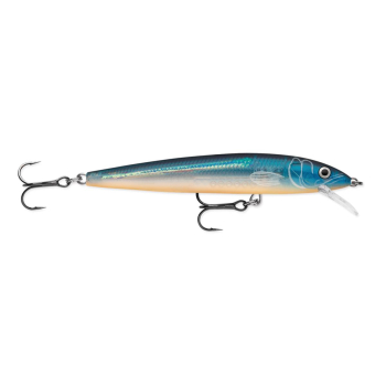 Wobler Rapala Husky Jerk 10cm/10g BGH