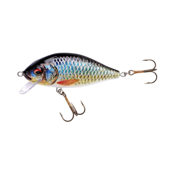Wobler Jaxon HS Karaś Nature 3D F 7cm/13g PB