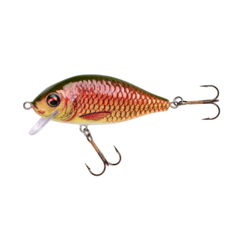 Wobler Jaxon HS Karaś Nature 3D F 7cm/13g PG
