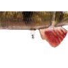 Przynęta S.G. 4D Line Thru Perch 17cm/63g SS-03*-54013