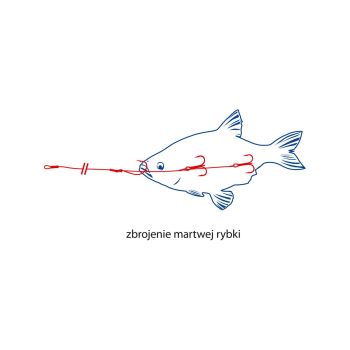 Systemik do martw.rybki Dragon 18kg50cm K.2x2 H.1+-55882