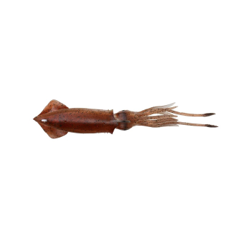 Przynęta S.G.3D Swim Squid12.5cm/25g 2szt. Brown*