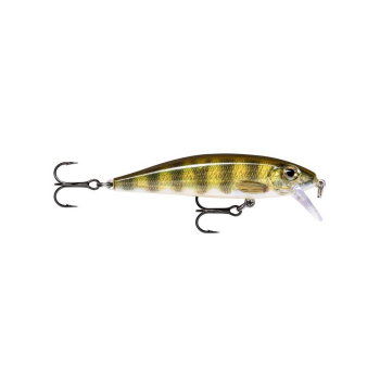 Wobler Rapala X-Rap Countdown 7cm/10g PEL