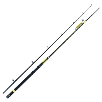 Wędka Black Cat Perfect Pass. Spin 2.70m 60-200g#