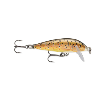 Wobler Rapala Countdown 7cm/8g TR