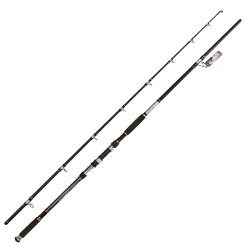 Wędka Jaxon Zaffira Catfish RT 3.00m -550g
