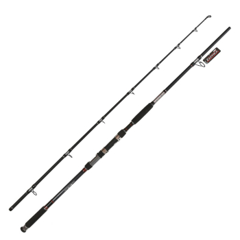 Wędka Jaxon Zaffira Catfish RT 2.70m -550g