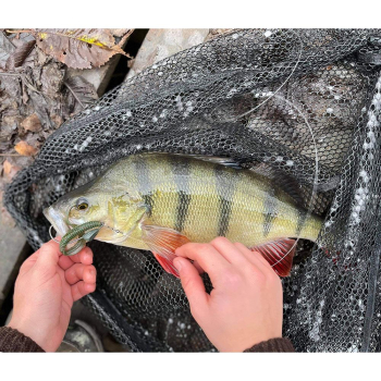 Zestaw S.G. Black Bass Pro Pack op.33szt.*-90031